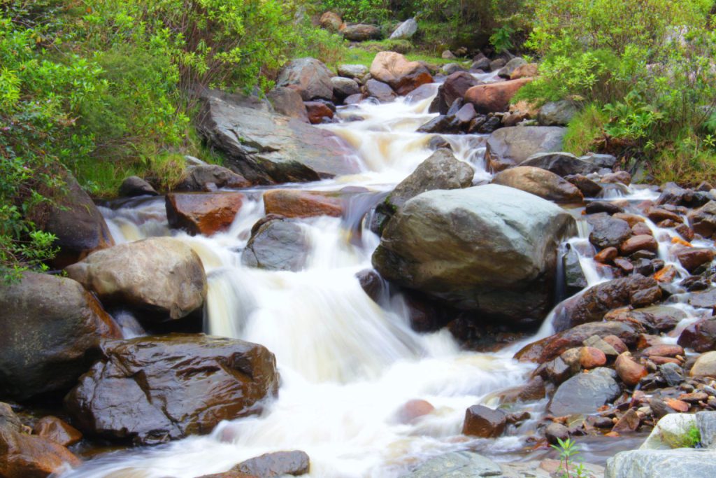 Alto río Palo