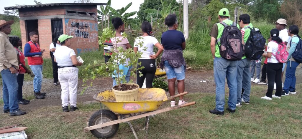 Actividad comunitaria