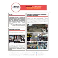 Boletín agosto 2020
